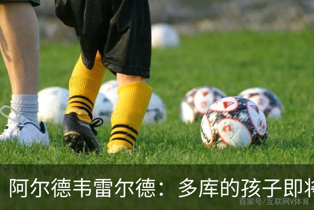 阿尔德韦雷尔德：多库的孩子即将出生，我后悔面对类似情况的选择